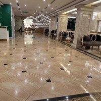 Bán Tòa Khách Sạn 5 -Diện Tích888,125 Triệu/Th - Trần Duy Hưng, Cầu Giấy 520M2 X10T,Mặt Tiền15M, Giá Bán 250 Tỷ