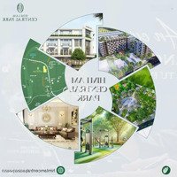 Bán Shophouse 60M2 Tại An Hồng, 3 Tỷ, Hồng Bàng, Hải Phòng, Đẹp, Nhiều Tiện Ích