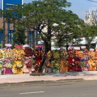 Kđt Số 4: Diện Tích 122,5M, Đường 7,5M, Sạch Đẹp, Hướng Tây Nam. Giá Bán 2,450 Tỷ Có Tl