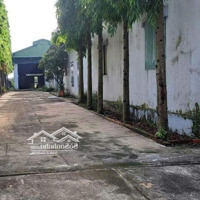 Cho Thuê Nhà Xưởng Diện Tích 1063M2 Tây Hòa, Trảng Bom. Gần Kcn Bàu Xéo. Giá 15 Triệu/Tháng