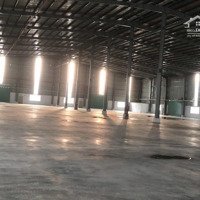 Cho Thuê Nhà Xưởng Mới Xây Gần Cảng Biển Lớn Cần Đước, Long An, Pccc Tự Động