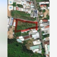 Bán 2000 M2 Đất Mặt Tiền Đào Sư Tích Phước Lộc Nhà Bè . Gía Bán: 60 Tr/M2