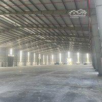 Cho Thuê Kho Xưởng 4.000M2 Cụm Công Nghiệp Tp. Tân An, Long An, Khuôn Viên: 6.000M2