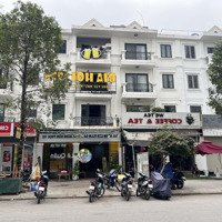 Tổng Hợp Liền Kề, Biệt Thự, Shophouse Tại Kđt Mới Đại Kim Hacinco Nguyễn Xiển Tháng 3/2025