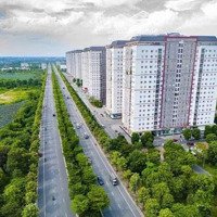 Cơ Hội Vàng Bán Đất Liền Kề, Biệt Thự Thanh Hà Cienco 5 Giá Đầu Tư, Chính Chủ