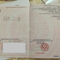 Lô Đất Đối Diện Chợ Hoà Châu Và Gần Trường Học Giá Rẻ
