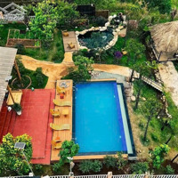 Bán Nhà Sân Vườn, Nghỉ Dưỡng Có Hồ Bơi 1151M2 Có 800M2 Thổ Cư, Đà Lạt Giá Chỉ 12,6 Tỷ