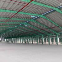 CHO THUÊ NHÀ XƯỞNG 55.000M SẢN XUẤT TẠI KCN BÌNH PHƯỚC