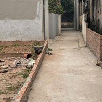 Bán Đất Chính Chủ Tại Đan Phượng, Hà Nội.