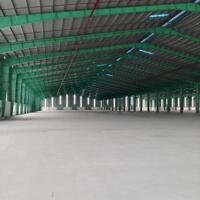 CHO THUÊ NHÀ XƯỞNG 55.000M SẢN XUẤT TẠI KCN BÌNH PHƯỚC