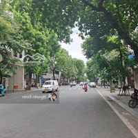 Bán Nhà Mặt Phố Cổ Nguyễn Công Trứ, Hai Bà Trưng, 4 Tầng, 2 Mặt Tiền Lợi Nhuận Khủng. 57 Tỷ