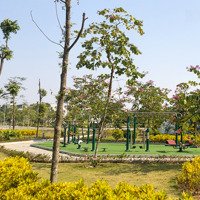 Bán Biệt Thự Khu Phố Chợ Vĩnh Trụ, Lý Nhân, Hà Nam Giá Tốt, 170M2, Mặt Tiền 10M