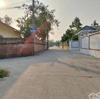 Giá Mềm Đầu Tư Sinh Lời - 60M2 Full Thổ Cư, Khuôn Thửa Hoa Hậu, Gần Kcn Sạch Xã Minh Trí, Sóc Sơn