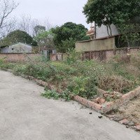 Giá Mềm Đầu Tư Sinh Lời - 60M2 Full Thổ Cư, Khuôn Thửa Hoa Hậu, Gần Kcn Sạch Xã Minh Trí, Sóc Sơn