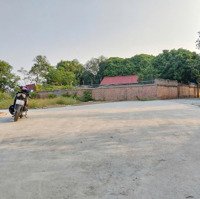 Giá Mềm Đầu Tư Sinh Lời - 60M2 Full Thổ Cư, Khuôn Thửa Hoa Hậu, Gần Kcn Sạch Xã Minh Trí, Sóc Sơn