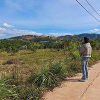 500M2 Đất Nằm Trong Khu Biệt Thự Châu Âu Gia Lâm, Chỉ 1.25 Tỷ