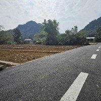 Bán Đất Giáp Kcn Bảo Hiệu Quy Mô 530Ha Chỉ Với 200 Triệu Sở Hữu Sổ Hồng Cất Két 85M2 Full Đất Ở