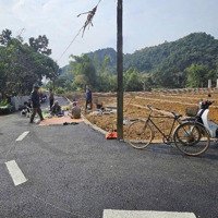 Bán Đất Giáp Kcn Bảo Hiệu Quy Mô 530Ha Chỉ Với 200 Triệu Sở Hữu Sổ Hồng Cất Két 85M2 Full Đất Ở