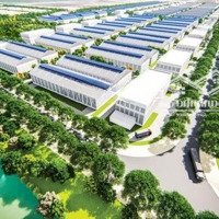 Bán Đất Giáp Kcn Bảo Hiệu Quy Mô 530Ha Chỉ Với 200 Triệu Sở Hữu Sổ Hồng Cất Két 85M2 Full Đất Ở