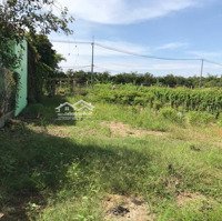 Ngân Hàng Thanh Lý 658M2, Mặt Tiền Đường Trung An. Thích Hợp Xây Biệt Thự, Nhà Vườn. Giá Bán 5 Tỷ 550 Triệu