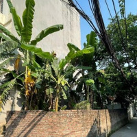 Lô Góc, Hàng Hiếm 3 Mặt Thoáng, Phú Thượng, Tây Hồ, Mặt Tiền Lý Tưởng Gần 6M. Kinh Doanh, Phố Đi Bộ