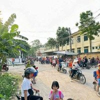 Chính Chủ Bán Lô Đất Đẹp Hướng Đạo Tam Dương Vĩnh Phúc