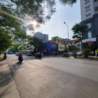 Cho Thuê Mặt Bằng 200M2, Mặt Tiền 9M, Kinh Doanh Siêu Hot Phố Thành Thái, Cầu Giấy