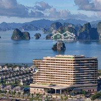 Duy Nhất 1 Căn Bt Cắt Lỗ Sâu, Liên Hệ Em Cường Để Nhận Tt