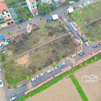 Bán Đất Đấu Giá Thanh Cao Đường Appan Vỉa Hè Giá Chỉ Nhỉnh 4 Tỷ