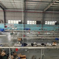 Cho Thuê Xưởng 3000M Tỉnh Lộ 9, Xã Đức Hoà Thượng, Đức Hoà, Long An