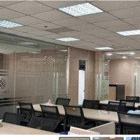 Siêu Hiếm Nhà 2Mt Ngay Trường Sơn, Tân Bình.diện Tích16M X33M. Hầm 8 Tầng- Hđt 700 Triệuiệu/Tháng. Giá Bán 140Tỷ