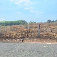 650 Triệu Nhựa Phước An 5X43M Full Thổ Cư Gần Kcn Hiệp Thạnh