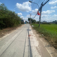 Bán Lô Đất Thị Trấn Tân Túc Bình Chánh