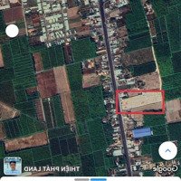 60M Mặt Tiền Đường Dt741 Bán Hoặc Cho Thuê Dài Hạn 12000M2, Giá Thuê 120 Triệu/Tháng