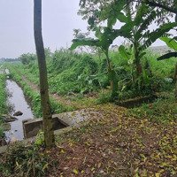Bán Đất Tại Đông Hà, Đông Hưng, Thái Bình, 5,3 Tỷ, 200 M2