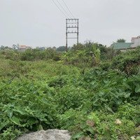 Bán Đất 165M2 Giá Tốt Tại Đường 353, Hòa Nghĩa, Dương Kinh, Hải Phòng