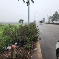 Bán Gấp Đất Nền Long Thượng, 720 Triệu, 720M2, View Đẹp, Phúc Thọ, Hà Nội