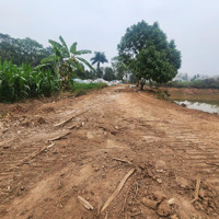 Bán Đất Long Thượng, 1,4 Tỷ, 1400M2, Pháp Lý Đầy Đủ, Nhiều Tiện Ích