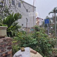 Bán Đất Tại Đường Tô Hiệu, Xã Nghĩa Trụ, Văn Giang, Hưng Yên, 2,439 Tỷ, 64,2 M2, Uy Tín Giá Ưu Đãi
