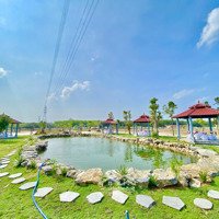 Bán Đất Nền Dự Án Giá Sốt Chỉ Có 1 0 2 Tại Bình Dương Với Mức Giá Chưa Tới 1 Tỷ Đồng Là Sở Hữu Ngay