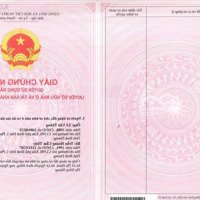 Chính Chủ Bán Nhà Đường Nhựa Ô Tô 6M, Đông Nam, 3 Tầng, Sổ Hồng, Có Nhà Xe Ôtô