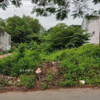 Ngân Hàng Thanh Lí Đất Có Thổ 175M2/1,25 Tỉ, Sổ Riêng,Mặt Tiềnđường Nhựa Huỳnh Văn Luỹ Tdm,Mt Nhựa 10M