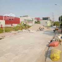 Siêu Hiếm! Bán Đất Giãn Dân Xã Hòa Phong, Mỹ Hào Cực Đẹp, Đầu Tư Tăng Giá Đón Sóng Hạ Tầng X2 X3