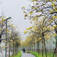 Bán Đất Ngõ Đường Quang Trung La Khê Sau Kđt Packcity Hà Đông