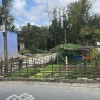 Đất Hoà Châu Đường Nhựa 7M Gần Quốc Lộ 1A