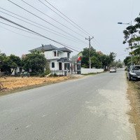 Bán Đất Tại Ngọc Thanh, Phúc Yên, Vĩnh Phúc, Giá Tốt 11,5 Triệu / M2, Diện Tích 354 M2