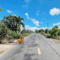 Bán Đất Đường Tân Liêm Xã Phong Phú - Bình Chánh - 5X27 (135M2) - Shr, 500 Triệu, Ngay Kdc Phong Phú 4