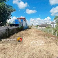 Bán Đất Đường Tân Liêm Xã Phong Phú - Bình Chánh - 5X27 (135M2) - Shr, 500 Triệu, Ngay Kdc Phong Phú 4