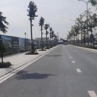 Chính Chủ Bán 1000M2, Mặt Tiền 12M Đất Trồng Cây Hằng Năm Khác Xã Tân Thành, Huyện Thủ Thừa