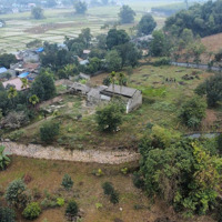 Chính Chủ Cần Bán Nhà Vườn , Có Rất Nhiều Cây Ăn Trái Lâu Năm . Giá Nhỉnh 4 Tỉ .